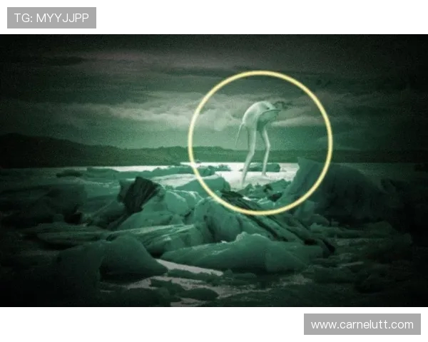 埃迪-库埃:如果我醒来时发现身在伯纳乌,我会以为到了外星