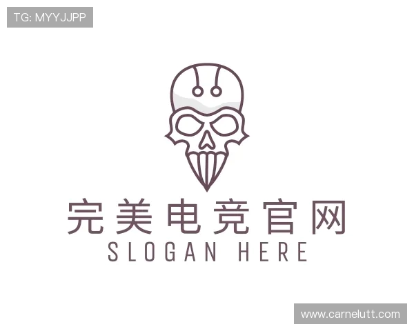 解读完美电竞